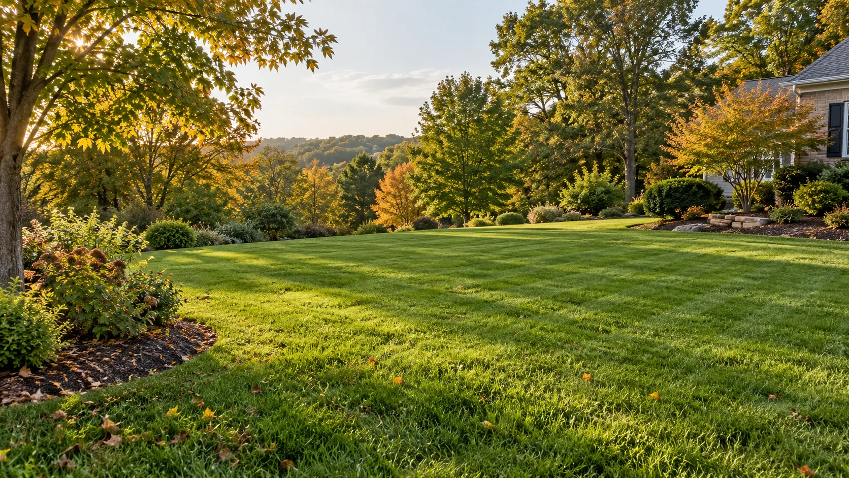 Green residential lawn with scattered leaves and trees turning gold in early fall