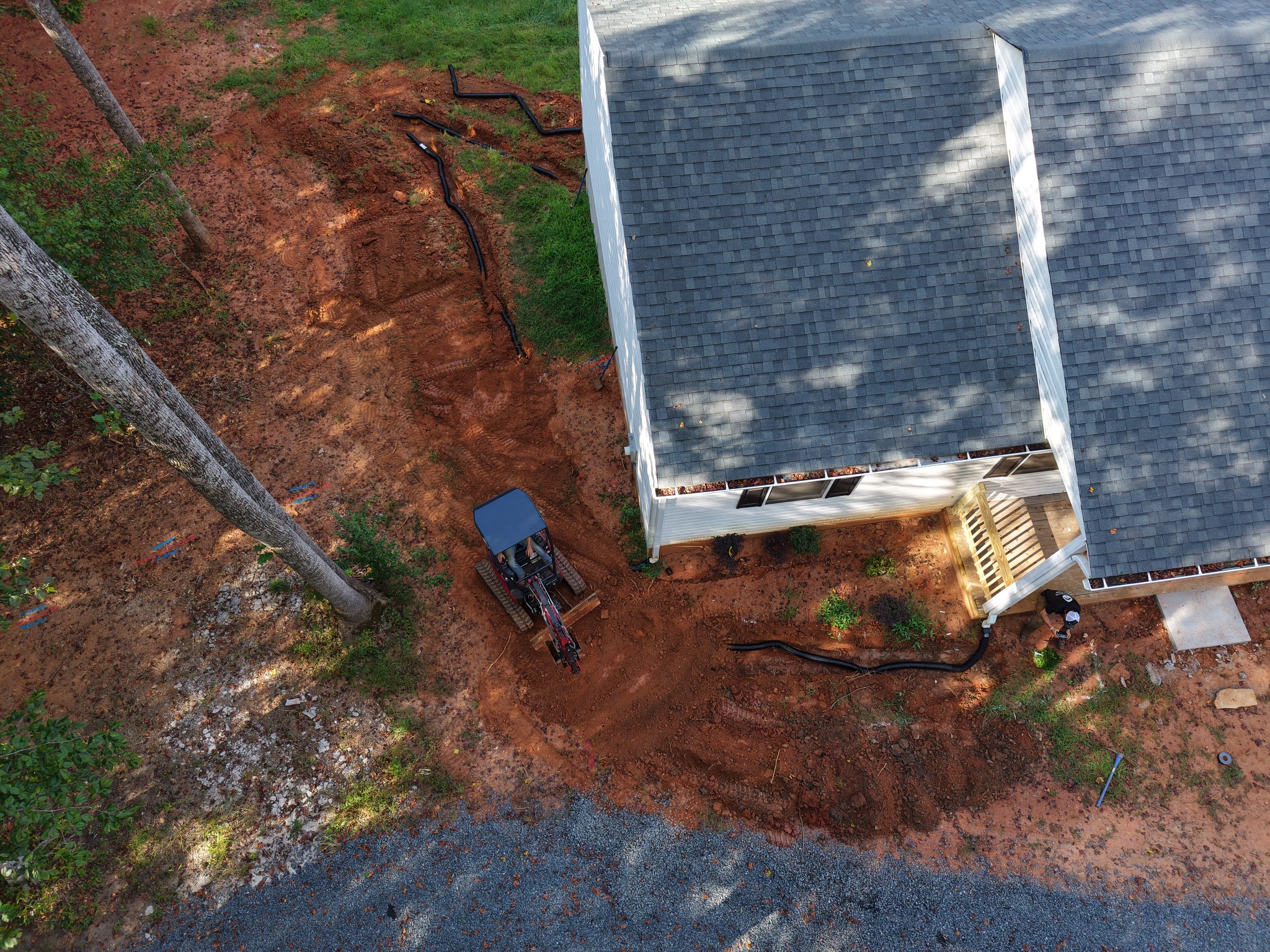 Landscaped yard with lush plantings and defined beds